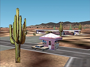saguaro_1w.jpg